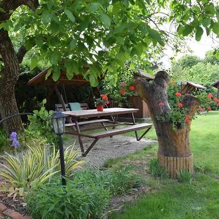 Bodrog-parti Vendeghaz