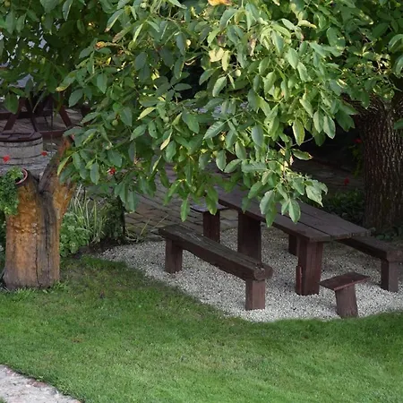 Bodrog-parti Vendeghaz *