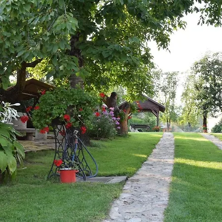 Bodrog-parti Vendeghaz Appartamento *