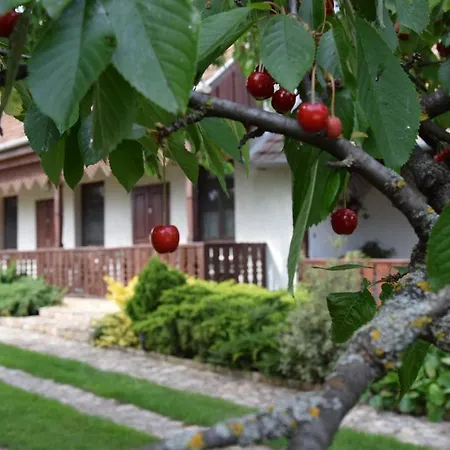 Appartamento Bodrog-parti Vendeghaz *