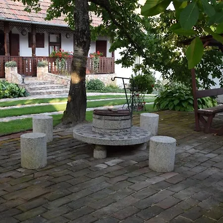 Bodrog-parti Vendeghaz