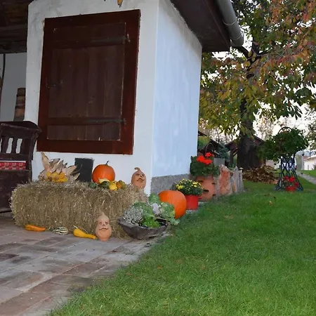 Bodrog-parti Vendeghaz Appartamento *