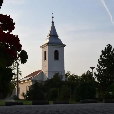 Bodrog-parti Vendeghaz Appartamento *