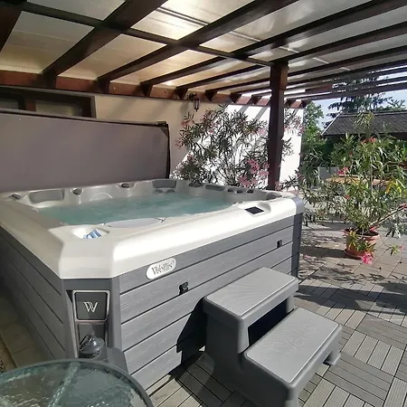 Appartamento Bodrog-parti Vendeghaz