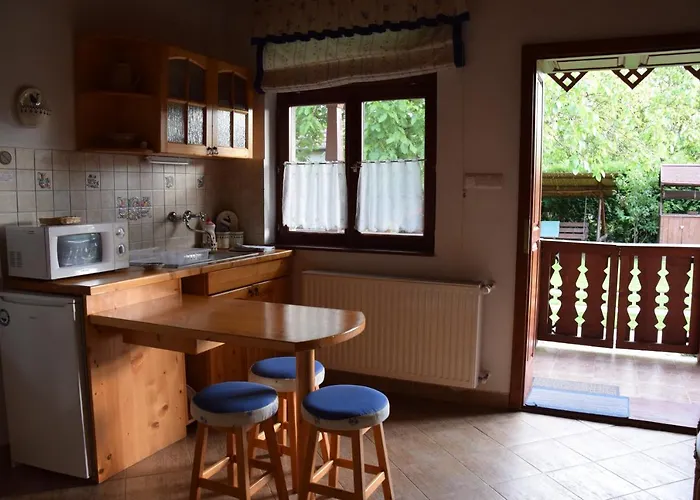 Bodrog-parti Vendeghaz Apartament Bodrogolaszi