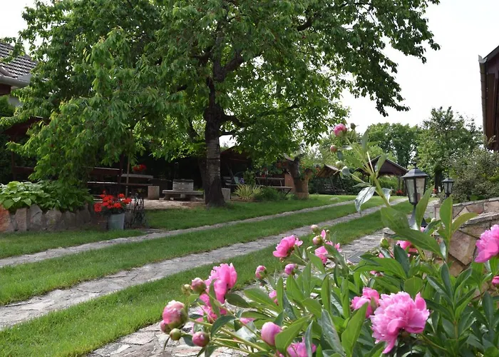 Bodrog-parti Vendeghaz 아파트