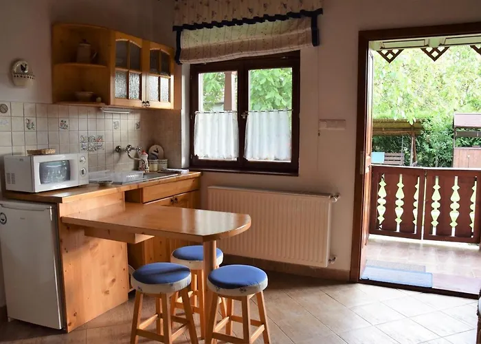 Apartament Bodrog-parti Vendeghaz