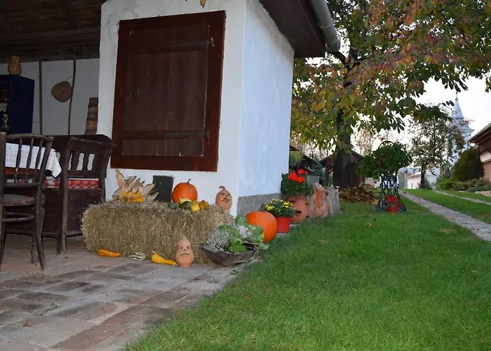 Bodrog-parti Vendeghaz Apartament *
