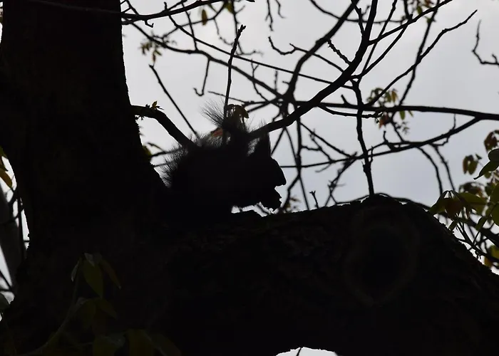 Bodrog-parti Vendeghaz *